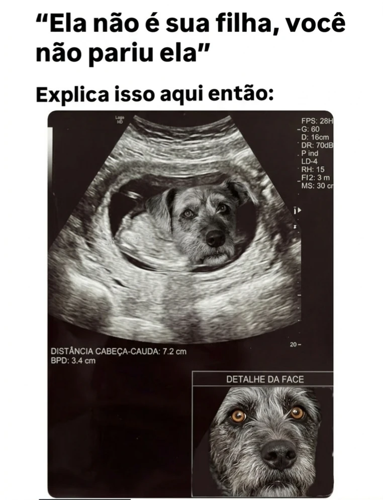 GIF enviado por Jade