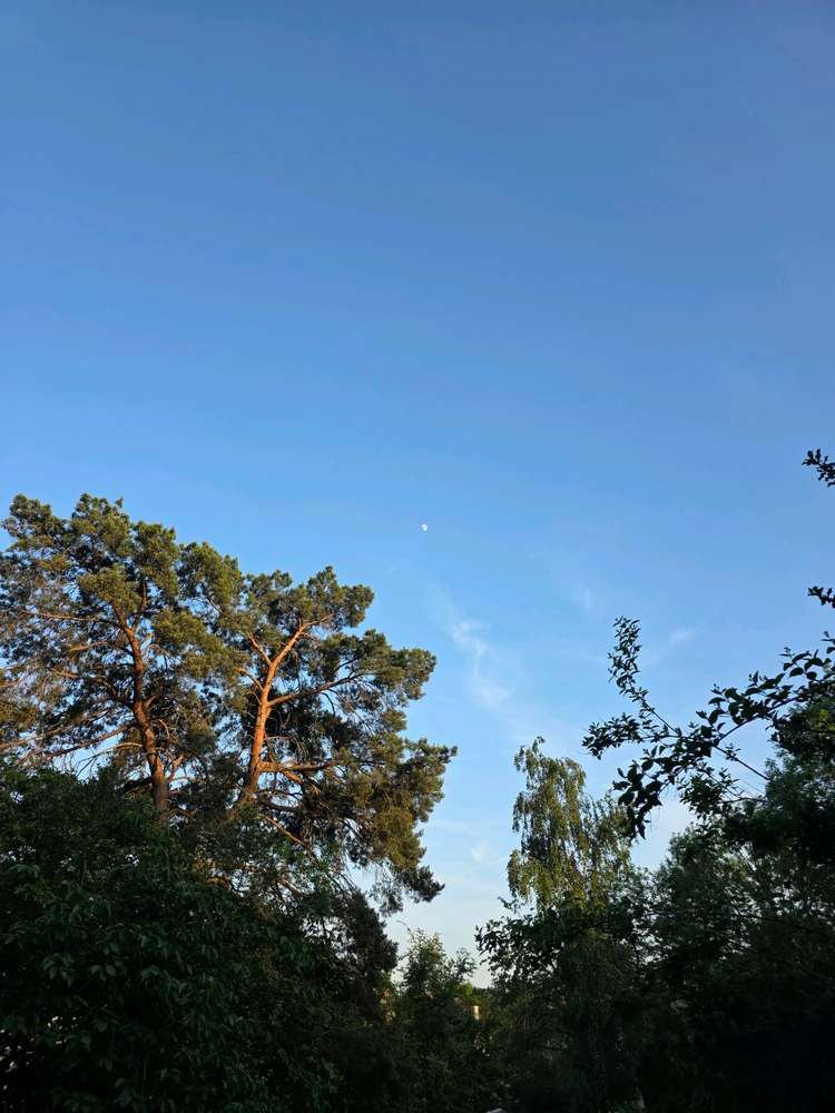 Image uploaded by A༗🂡🃏⏳⭐