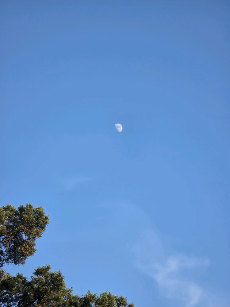 Image uploaded by A༗🂡🃏⏳⭐
