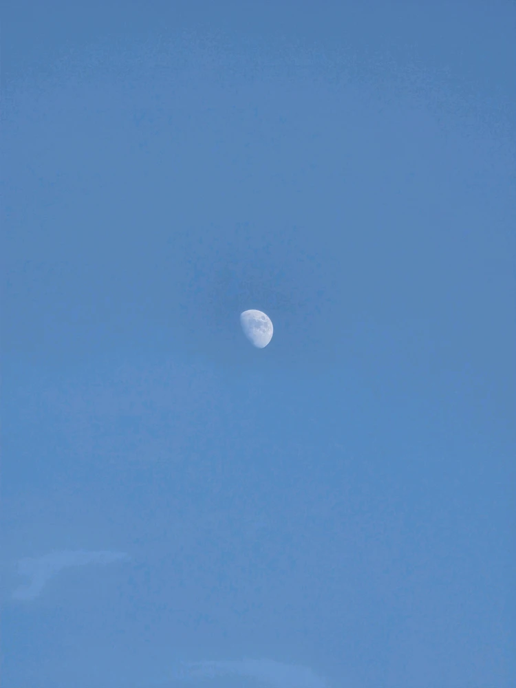 Image uploaded by A༗🂡🃏⏳⭐