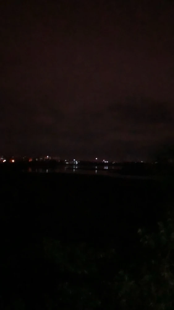 GIF uploaded by Sia
