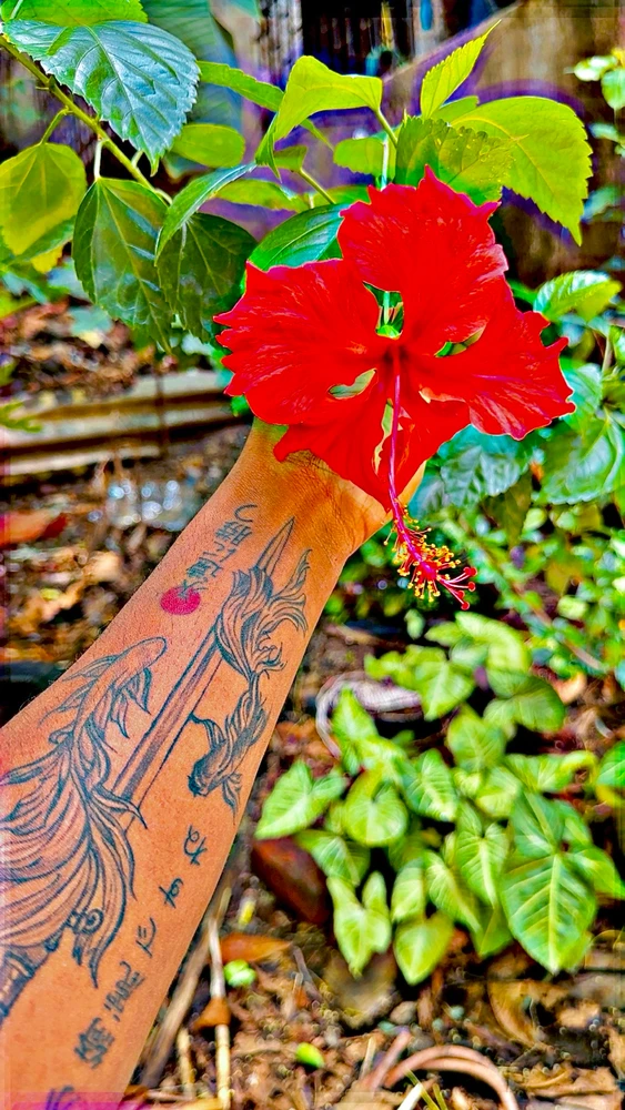 GIF uploaded by Manthn