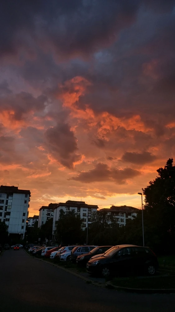 Image uploaded by Mila