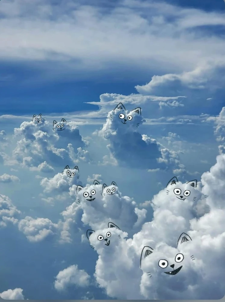 GIF uploaded by ℳ𝒾𝒹𝓃𝒾𝑔𝒽𝓉