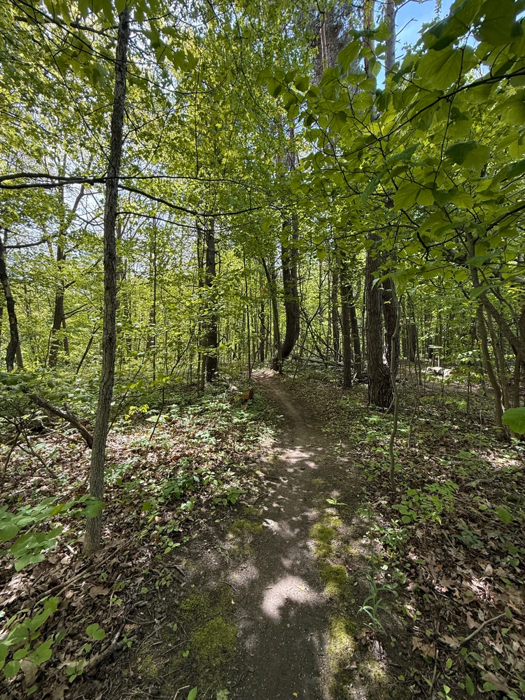 Image uploaded by Jeff