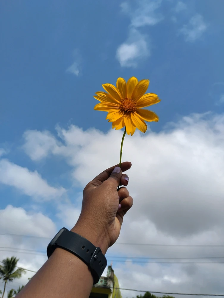 GIF uploaded by A
