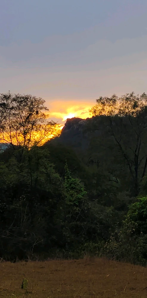 GIF uploaded by Sambit Khuntia