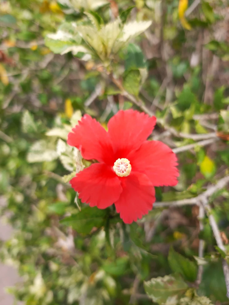 GIF uploaded by Ann