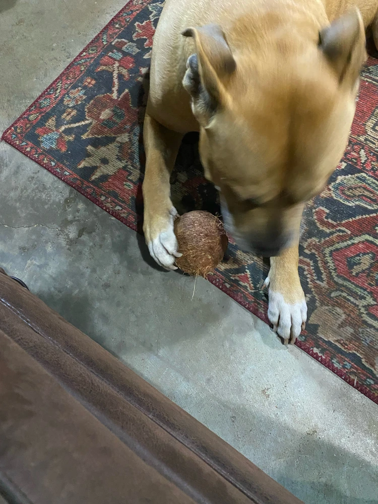 GIF uploaded by Ty