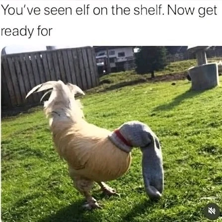 GIF uploaded by Lee