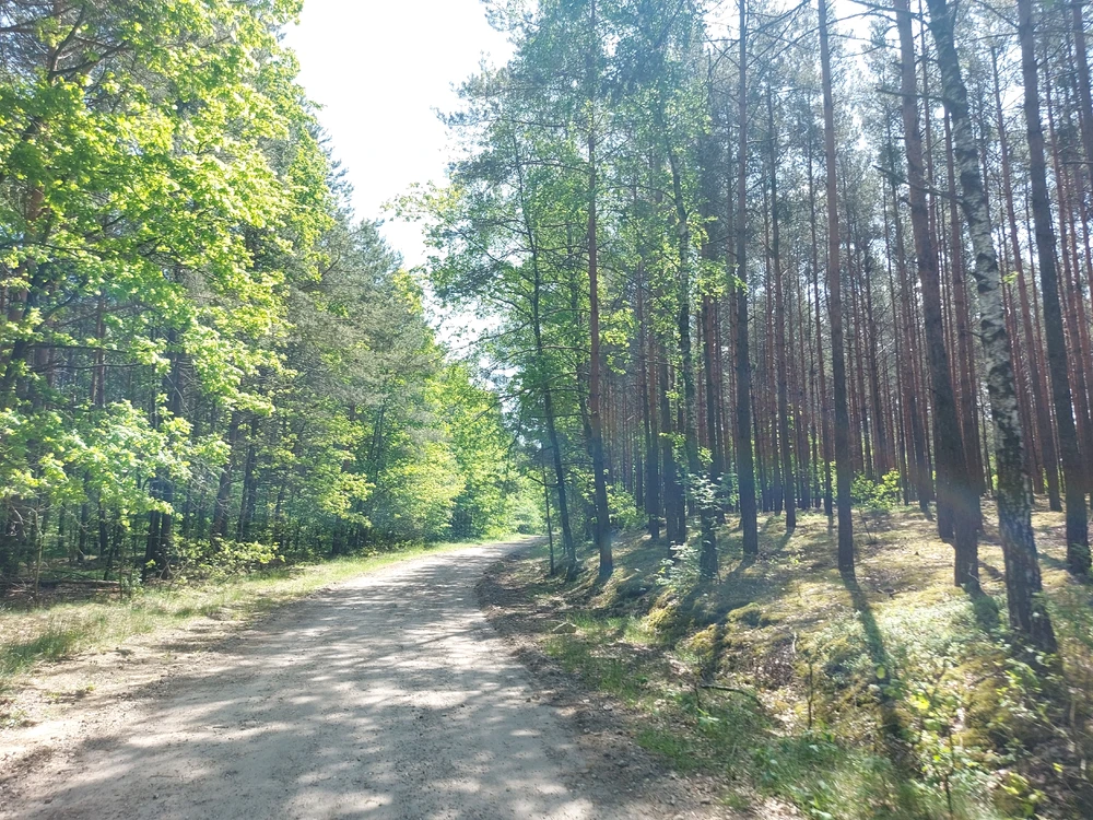 Zdjęcie dodane przez Jakub