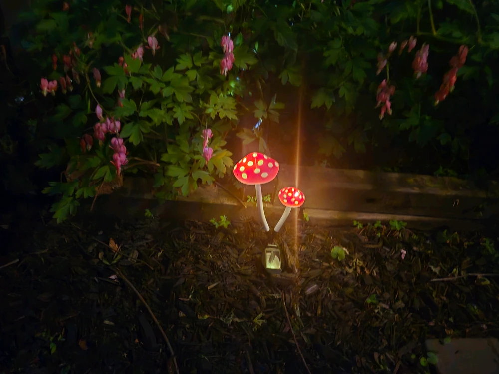 GIF uploaded by Mat