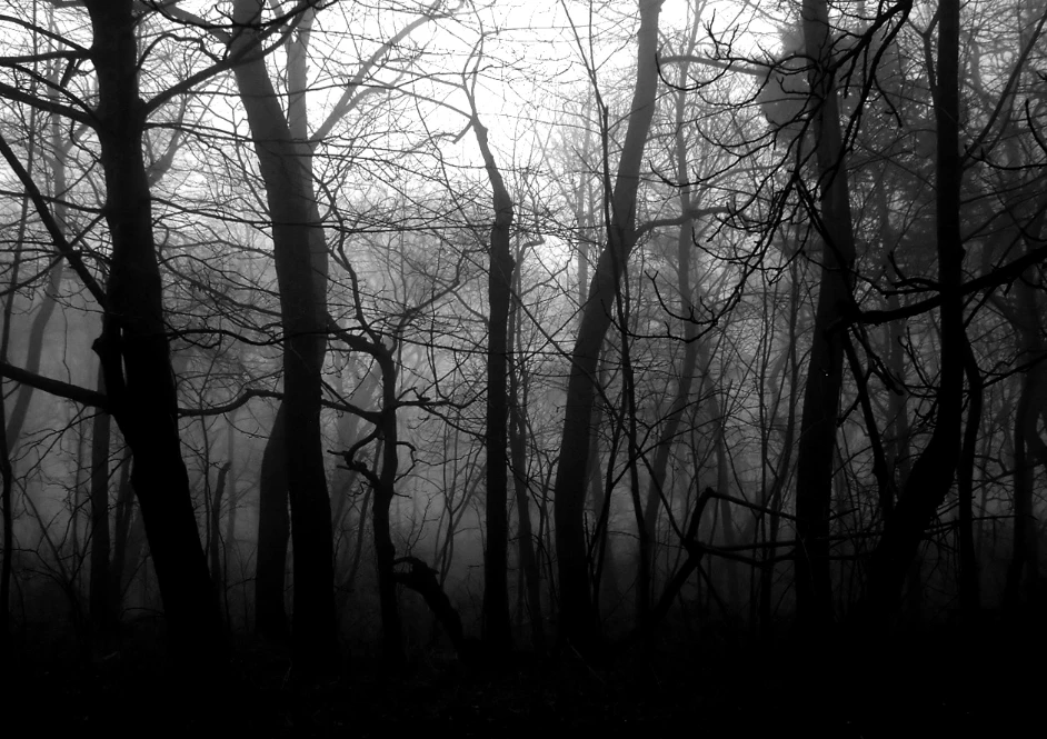GIF uploaded by Mist