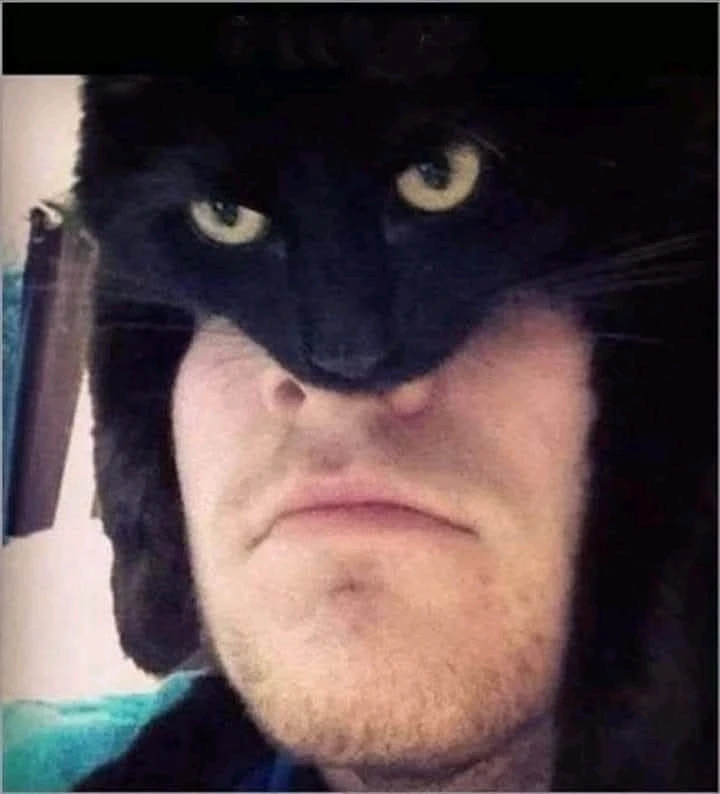 GIF uploaded by Slim Brady