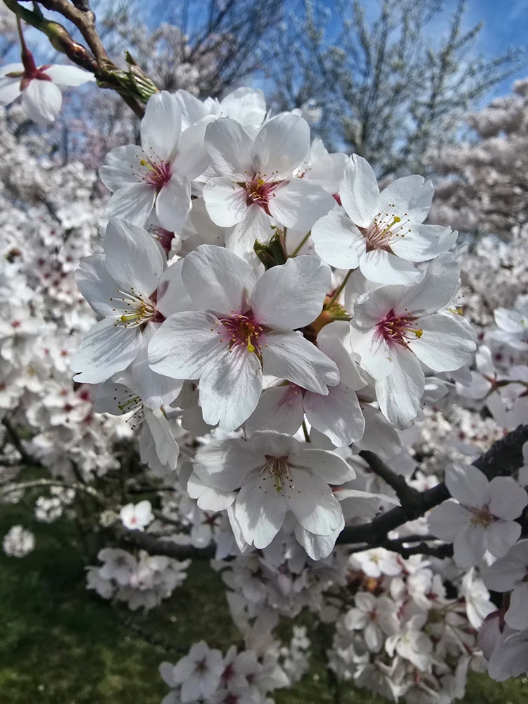 Image uploaded by Caro