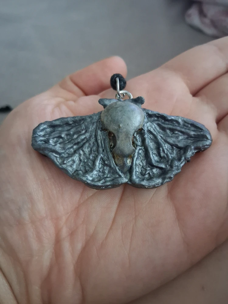 Image uploaded by Ara