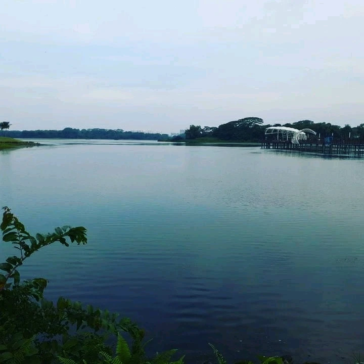 GIF uploaded by Vi