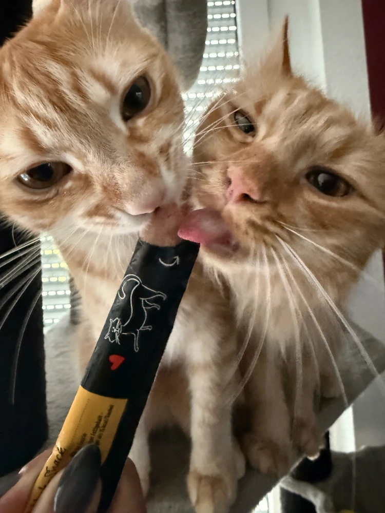 GIF uploaded by amalia