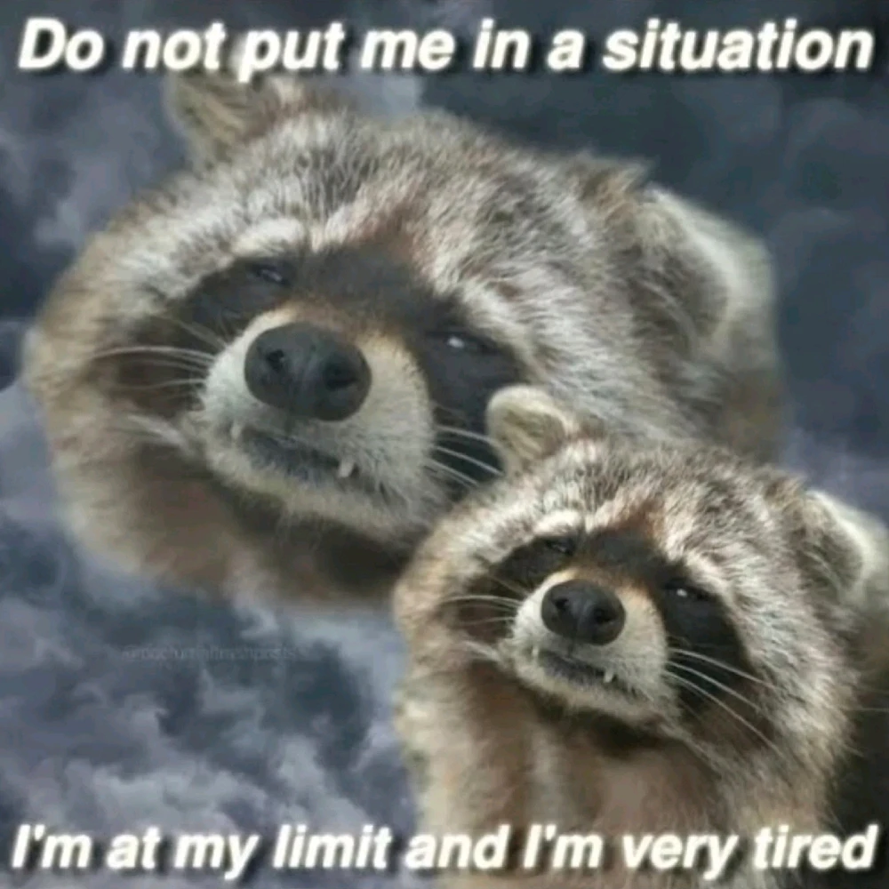 GIF hochgeladen von 𝕁𝕖𝕤𝕤𝕚𝕔𝕒