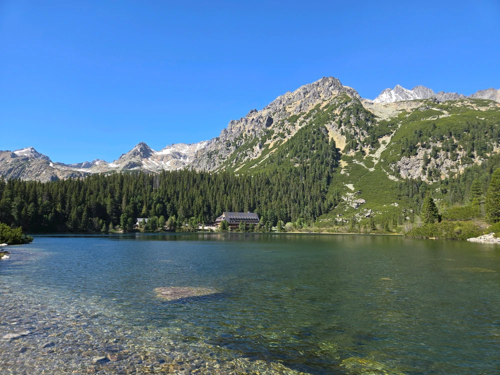 Image uploaded by Patrik
