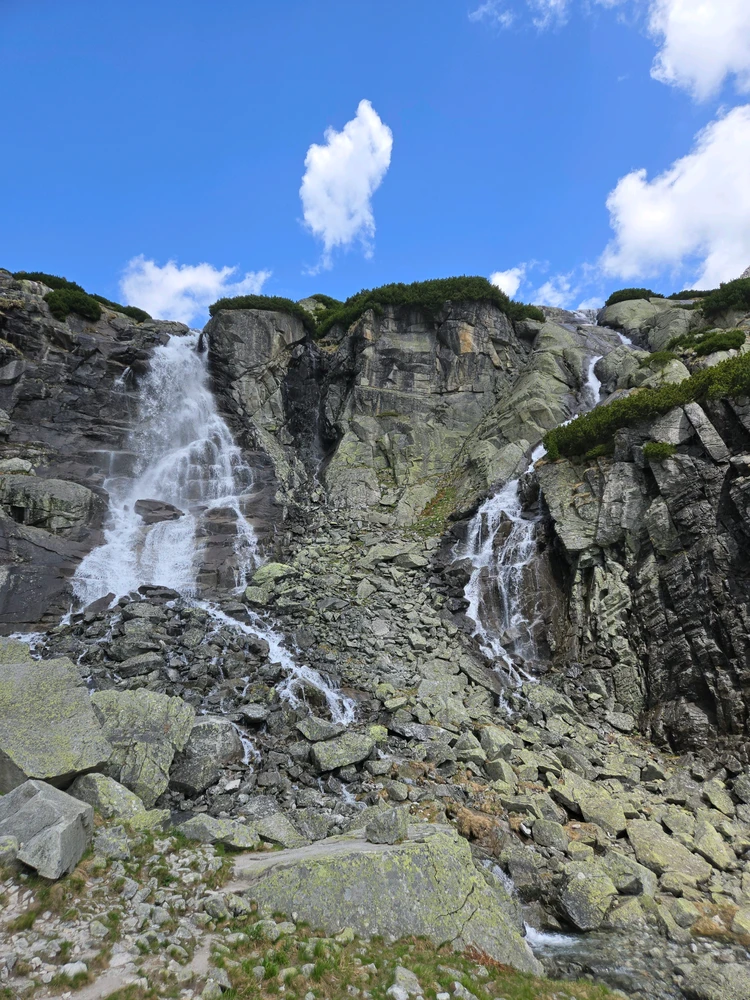 Image uploaded by Patrik