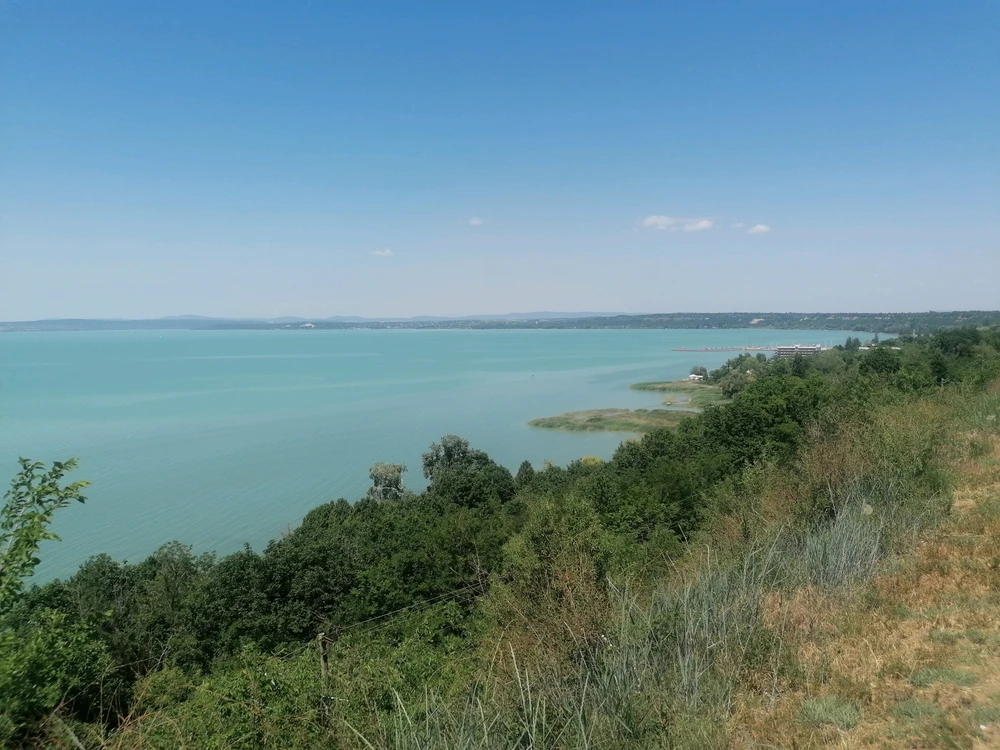 Image uploaded by Szabolcs