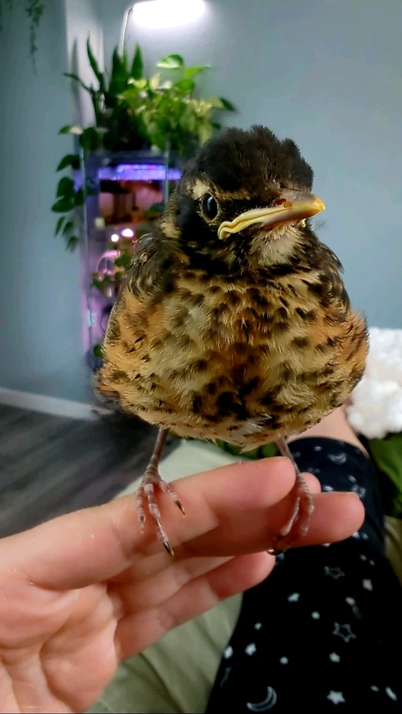 GIF uploaded by Sage