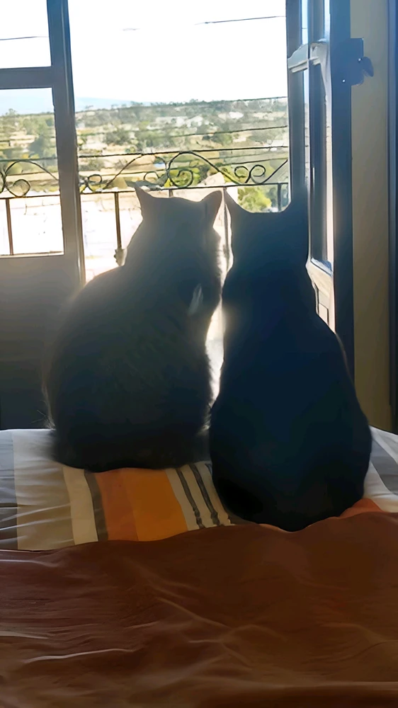 GIF uploaded by ❤ Sophia aka Mango Mami ❤️