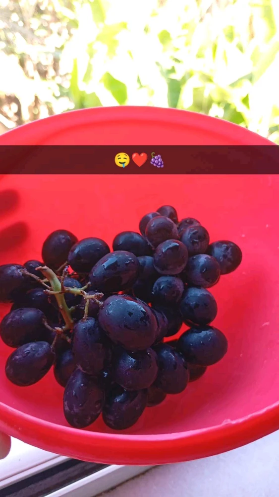 GIF enviado por Bella