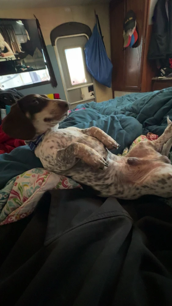 Image uploaded by Huck