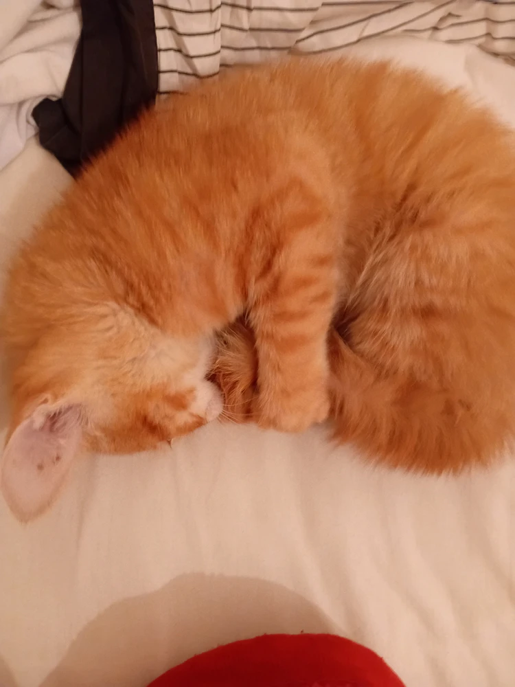 GIF uploaded by Ha