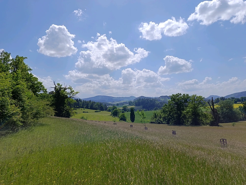 Bild hochgeladen von Sunnyboy