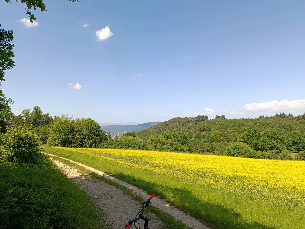 Bild hochgeladen von Sunnyboy