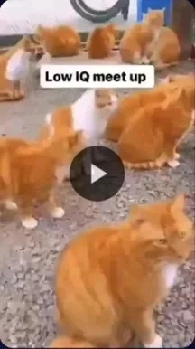 GIF uploaded by Mo