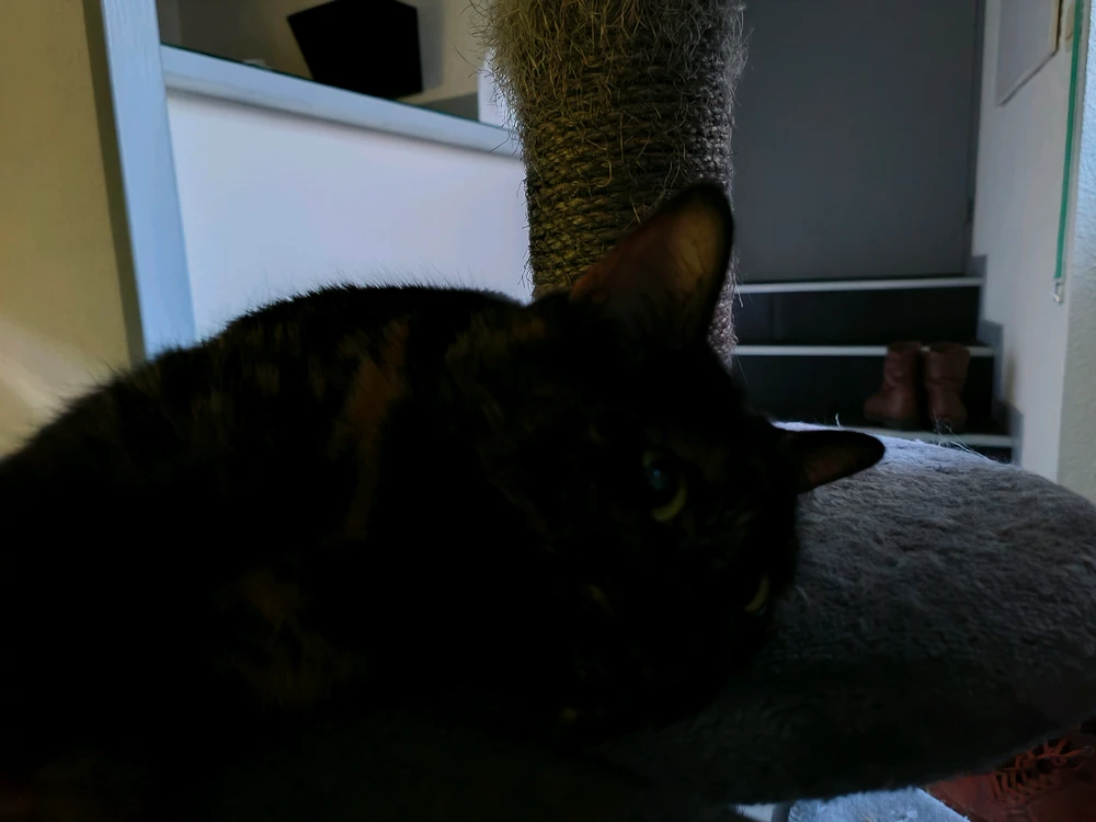 GIF ajouté par Aryah