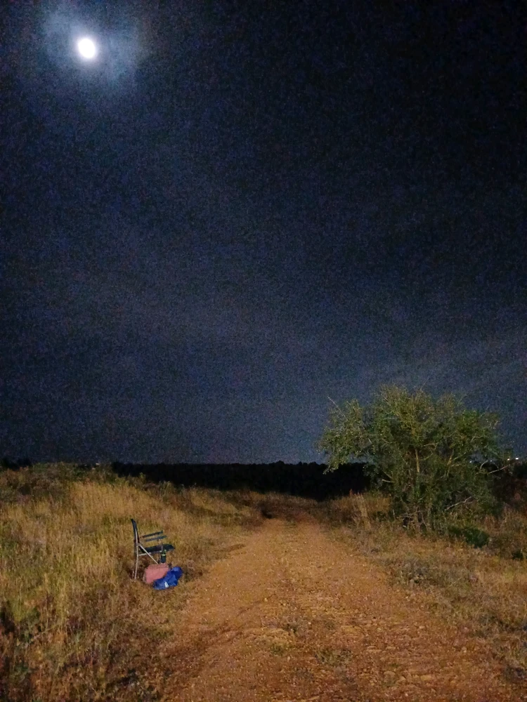 GIF הועלה על ידי SteveG