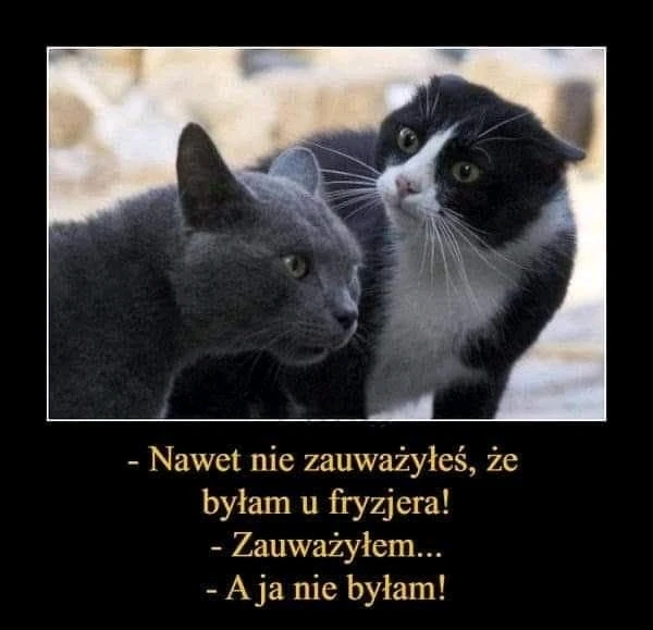 GIF dodany przez Stella