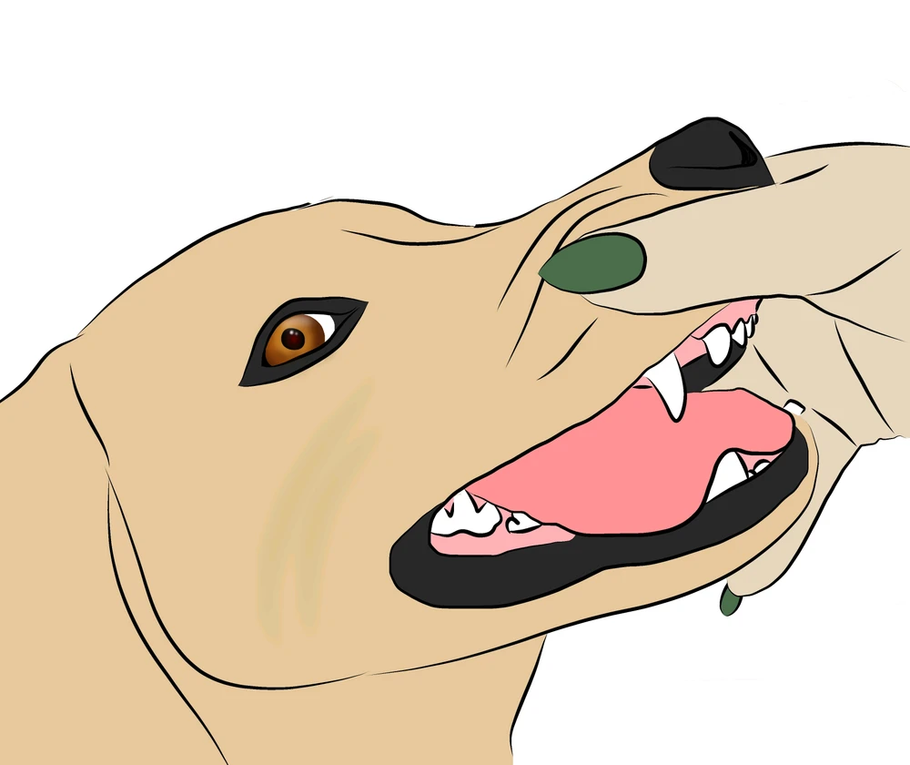 Image uploaded by Bug