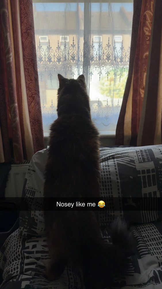 GIF uploaded by Lakiesha