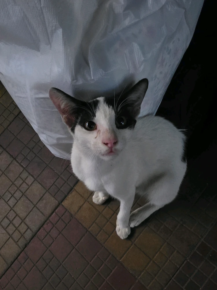 GIF uploaded by Gagandeep singh