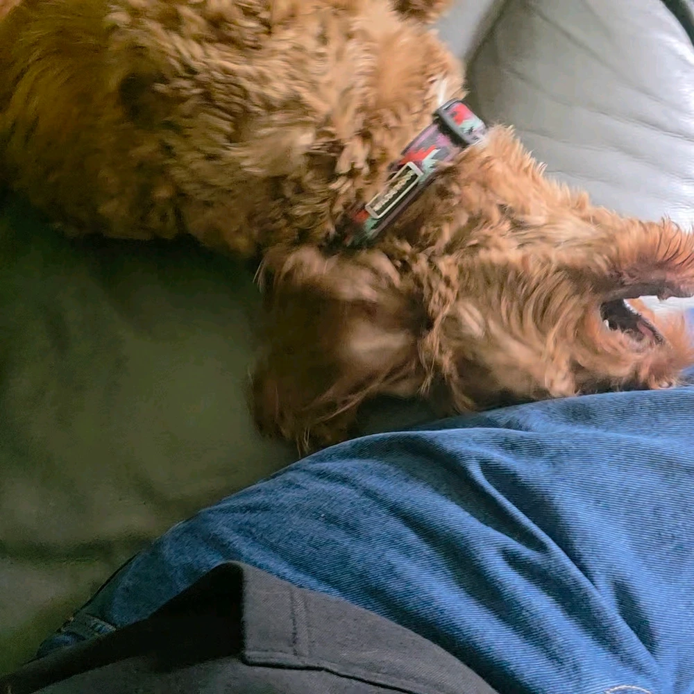 GIF uploaded by Xander