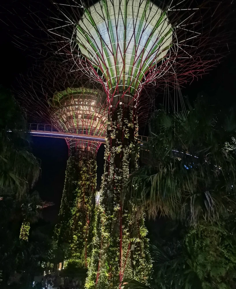 Image uploaded by Anasha
