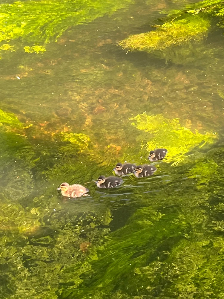 GIF uploaded by Luke