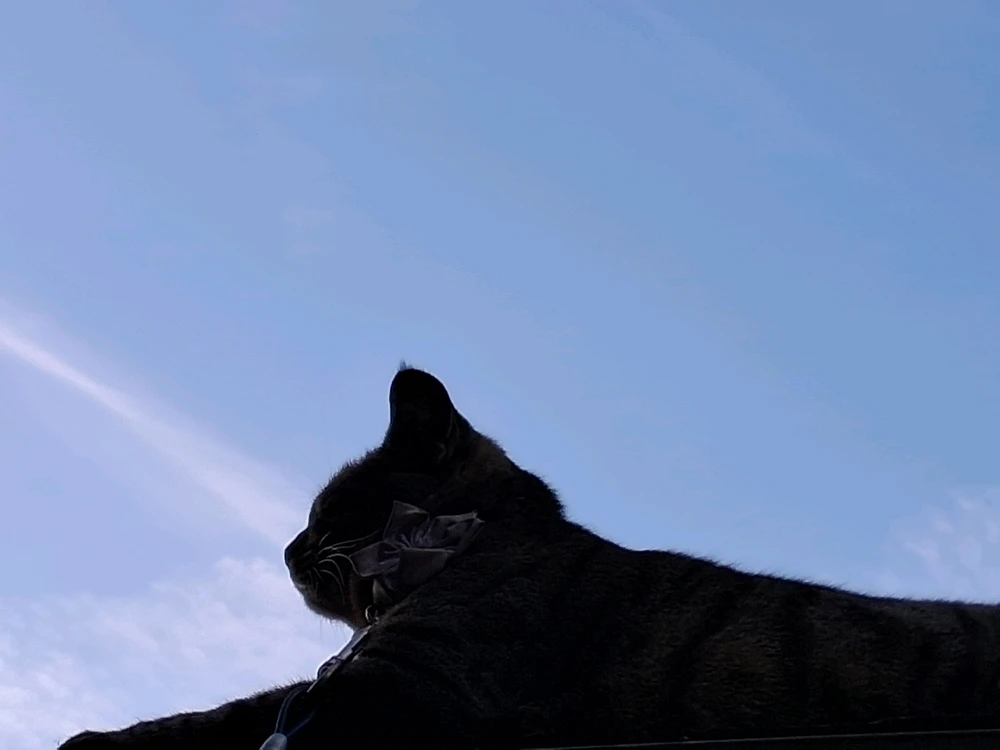 GIF uploaded by Twopercentnorseman