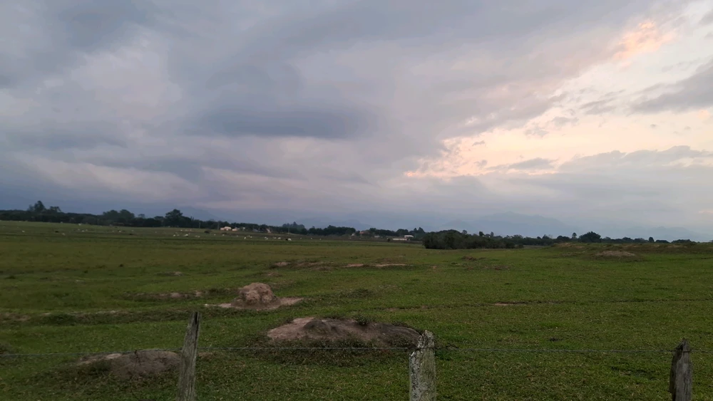 GIF uploaded by Pedro