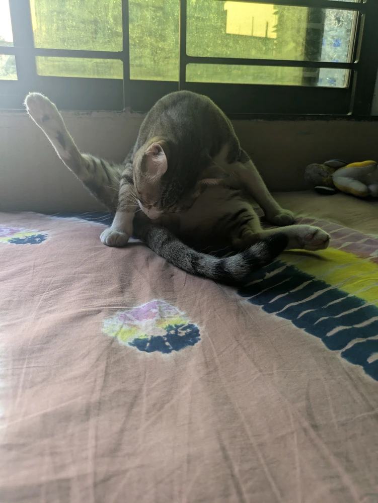 GIF uploaded by Reliable Host