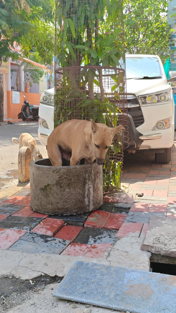 GIF uploaded by Vinay Patil