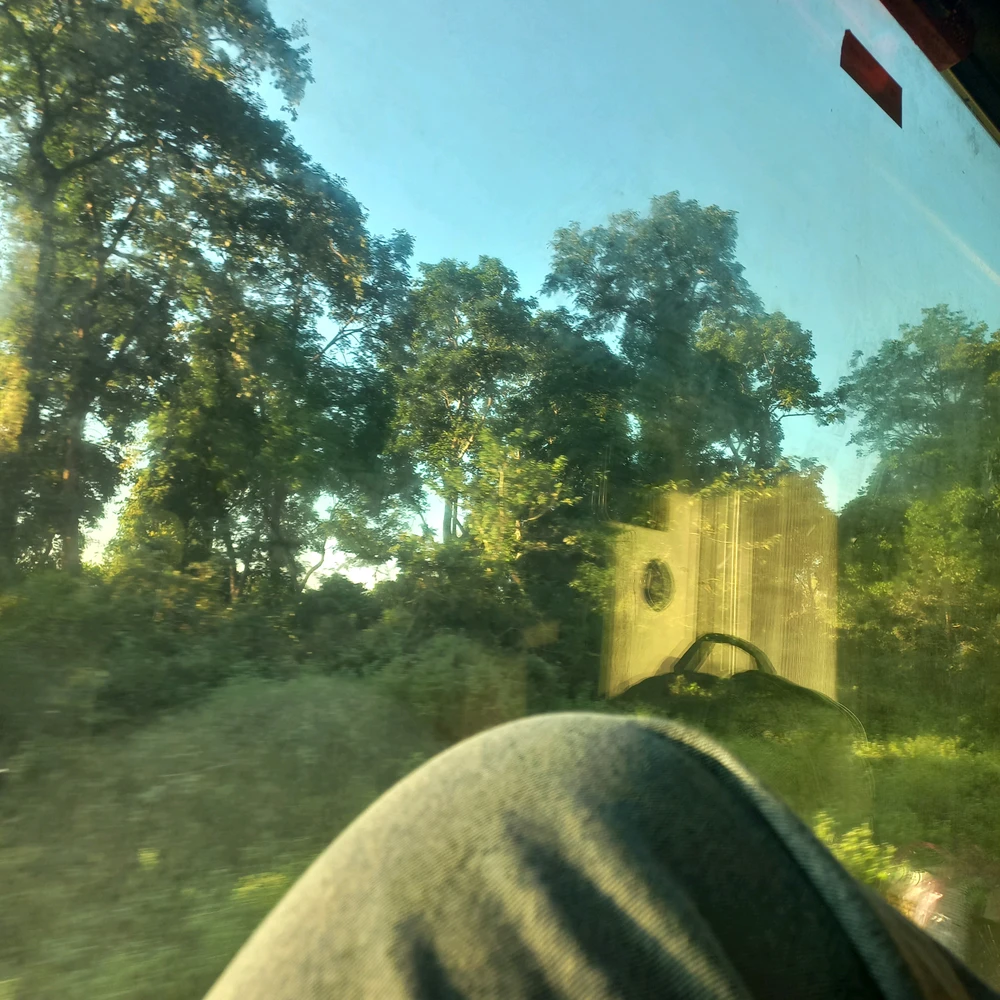 Image uploaded by Trina