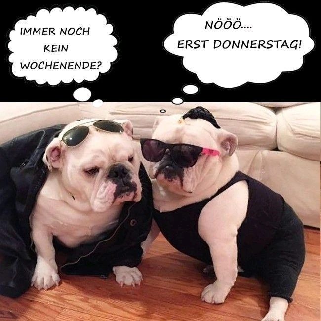 GIF hochgeladen von Sven