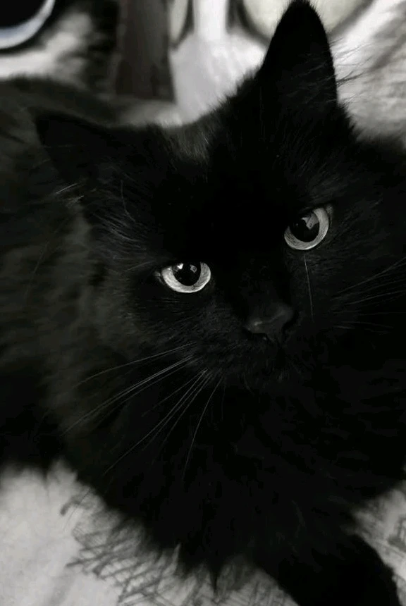 GIF enviado por Sa